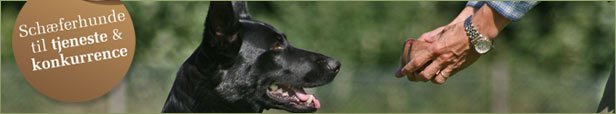 Smedebakken schæferhunde til tjeneste og konkurrence samt foder, udstyr og legetøj til alle dyr